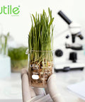 Gloved hand holding 50ml Beaker Shot Glass Set Low Form Borosilicate 3 Point 3 Glass With Double Scale Graduation with plants