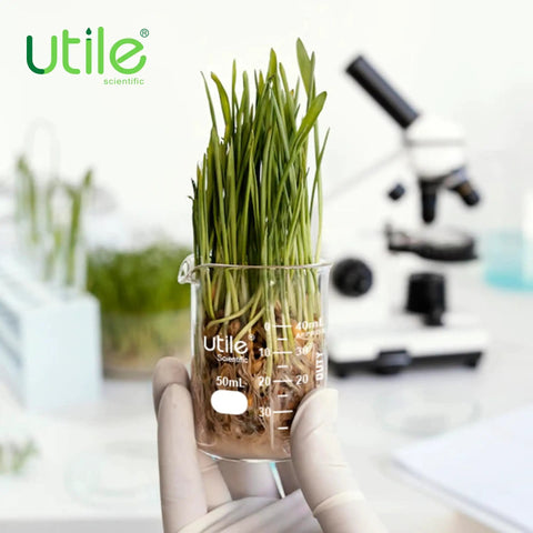 Gloved hand holding 50ml Beaker Shot Glass Set Low Form Borosilicate 3 Point 3 Glass With Double Scale Graduation with plants