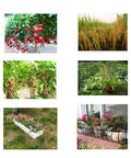 Collage of garden images with plants and flowers, illustrating usage sites for 3 In 1 Soil Tester With Long And Short Probes For Moisture Fertility And Plant Water Needs