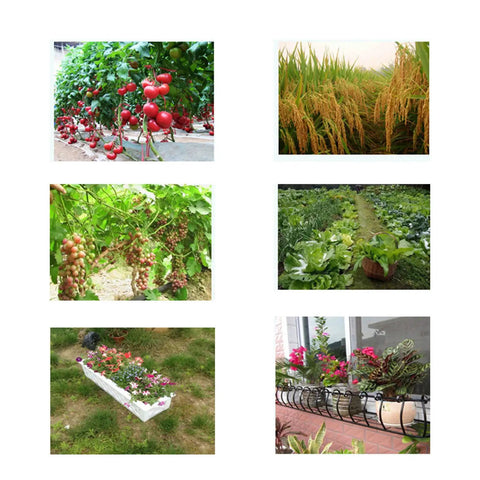Collage of garden images with plants and flowers, illustrating usage sites for 3 In 1 Soil Tester With Long And Short Probes For Moisture Fertility And Plant Water Needs