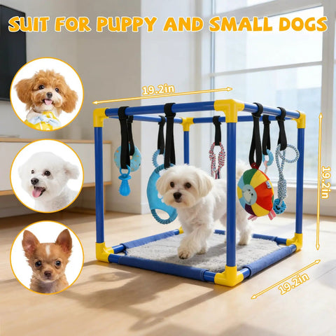 Indoor Puppy Play Gym With Hanging Toys And 8 Enrichment Toys For Small Dogs Cats And Other Pets PVC Frame Activity Center To Keep Energetic Pups Busy And Curious Kitten Entertained, featuring a small white dog.