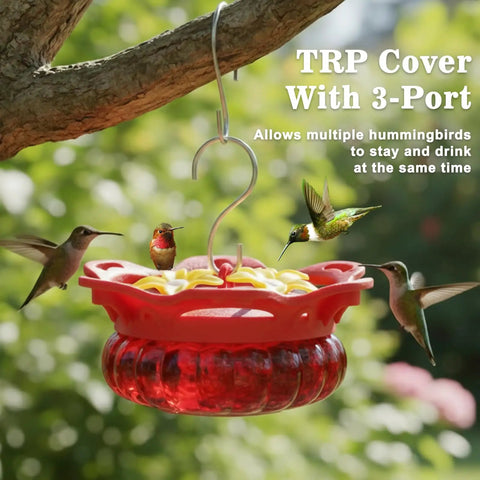 Two Pack Glass Hummingbird Feeders For Outdoors, Hanging Style With Bee Guard Ports, 3.4 Oz Capacity, Red Handheld Design