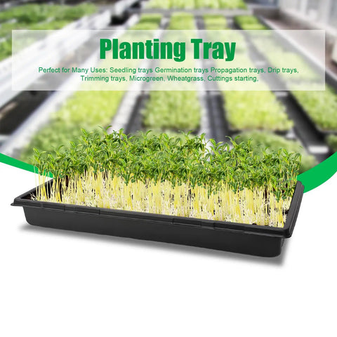 10 Pack 1020 Seed Tray Set With Extra Thick Heavy Duty No Holes No Leak Reusable Propagation Flats for seedlings and microgreens