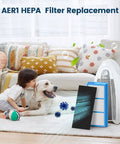 Aer1 Filter Replacement Pack For Holmes Air Purifiers HAPF30AT And HAP242NUC, 2 HEPA and 4 carbon filters with purifying air