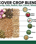 Buffalo Blend Deer Plot Seed With Turnip Radish Clover Wheat Rye And Oats for High Protein Deer Forage 5 Pound Bag seeds layout.