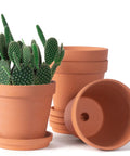 6 Inch Terracotta Clay Pots With Saucers Pack Of Four For Indoor And Outdoor Home Gardens With Drainage Holes And Tray Terracotta Flowerpots For Succulents Cacti And Other Plants