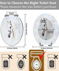 Toilet Seat Elongated for Bathroom, showing dimensions and installation guide for proper toilet seat fitting.
