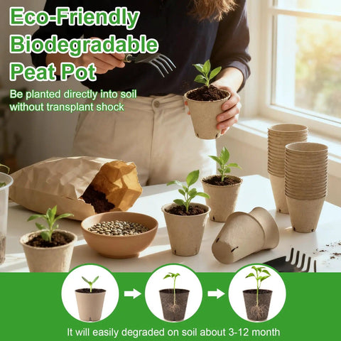 Woman holding eco-friendly biodegradable peat pot with seedlings and a stack of 120 Pack 3.15 Inch Peat Pots For Seedlings Garden Germination Starter Kit With 30 Plant Labels And 2 Transplant Tools Recycled Pulp Nursery Pots For Herbs And Veggies.