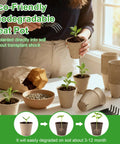 Person holding plant in 150 Pack All In One Seed Starter Kit Biodegradable Peat Pots 3.15 Inch With Drainage Holes