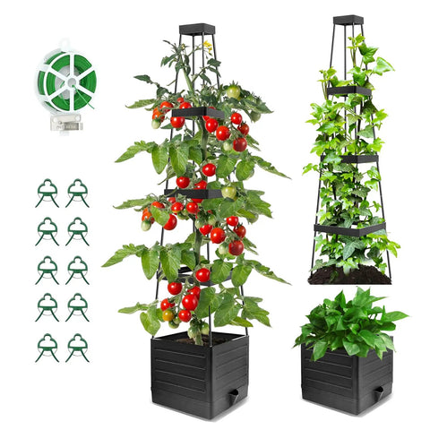 Two Pack Tomato Planter With Trellis 57 Inch Self Watering Raised Garden Bed For Climbing Veggies And Tomatoes Indoor Outdoor Cages For Plants On Sale with accessories