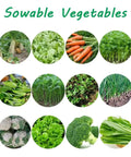 Various sowable vegetables including corn and beans for use with Handheld Garden Seeder For Corn And Beans Manual Seed Drill Easy To Use Lawn And Garden Spreader Machine Precise Planting Durable Design For Home Gardens Or Small Farms Reduces Seed Wastage And Boosts Yields.