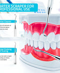 Dentist Grade Tartar Scraper Tool For Plaque Removal Stainless Steel Dental Pick For Deep Teeth Cleaning demonstration on model