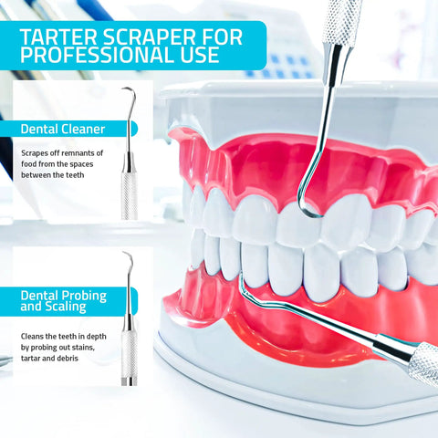 Dentist Grade Tartar Scraper Tool For Plaque Removal Stainless Steel Dental Pick For Deep Teeth Cleaning demonstration on model