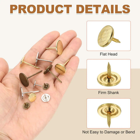 Gold Flat Head Upholstery Thumb Tacks 100 Count Top Shelf Decorative Push Nails in hand, flat heads and firm shanks for easy use.