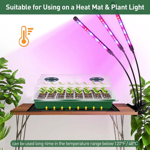 Ultra Thick 160 Cell Seed Starter Tray Kit With Humidity Dome on heat mat with plant lights, displayed on a table
