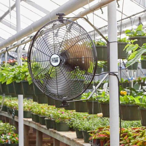 18 Inch Wall Mount Fan For Garages, Shops, Barns And Patios, Industrial Grade Cooling with 1450 CFM in greenhouse setting