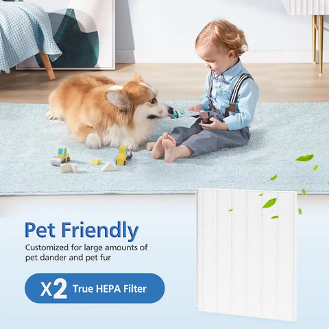 Child and dog playing with toys; 2 Pack D480 Replacement Filter D4 for Air Purifier, True HEPA 99.97 Percent Filtration box shown.
