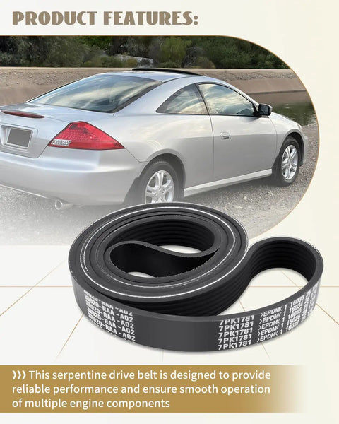 Honda Accord 2.4L Serpentine Drive Belt Replacement 7PK1785 38920-RAA-A03 with car in background