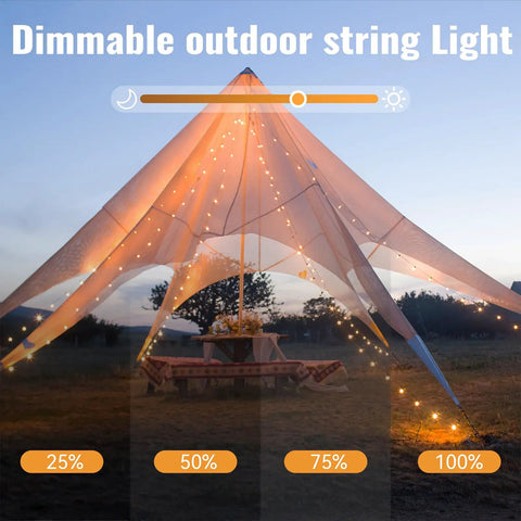 Battery Operated Globe String Lights 33ft With 100 LED Globes Remote Control 8 Modes And Timer Warm White Cozy Vibes for Tent