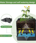 Diagram showing the water storage and self-watering design of the Two Pack Tomato Planter With Trellis 57 Inch Self Watering Raised Garden Bed