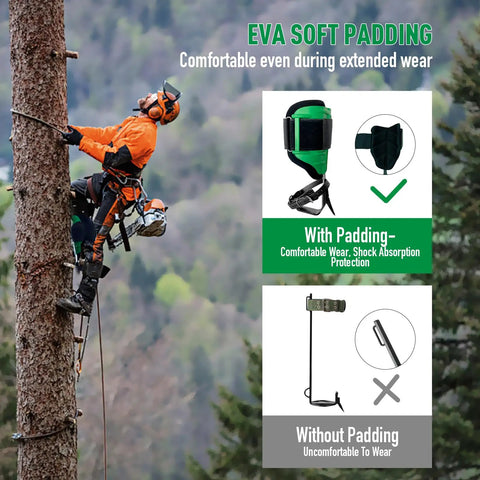 Beech tree climber using Built Tough Tree Climbing Spikes Set with padding protection, 350 lb load capacity, ASTM F887 certified
