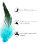 120 Pcs 5 To 7 Inch Rooster Saddle Feathers Bulk For Crafts And DIY Projects, Wedding Decor, Dream Catcher Supplies, single feather