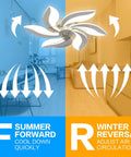 Dope Modern 26.7 Inch Ceiling Fan With Lights And Remote, LED Flower Shape Flush Mount showing summer and winter airflow directions