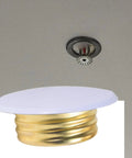 Top Shelf Fire Sprinkler Cover Plates With Sleek Concealed Trim Ring And Corrosion Resistant Body For Home And Office Ceiling Systems Upgrading Your Place Gets Crisp And Clean, showing white cover over sprinkler.
