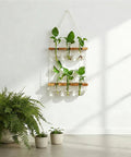 Wall Hanging Plant Propagation Station With 6 Glass Bulb Vases Two Tier Wooden Terrarium Stand For Hydroponics displayed on wall