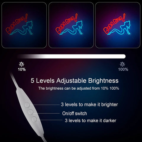Lit Neon Sign for Wall Decor Dimmable LED Light USB Powered Neon Art for Pub Bar Store Man Cave Party control settings