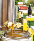 Pro Grade Stainless Steel Honey Strainer With Dual Sieves For Beekeeping And Honey Extraction filtering honey into bucket