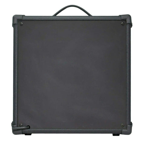 Back view of Portable Gig Ready Mini Guitar Amplifier Speaker With Built In 300W Power, showing handle and sturdy design.