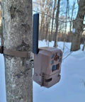 Versatile Trail Camera Mount For Moultrie Edge Models 2 And 3 Solar, Toolless Setup mounted on tree with strap in snowy forest