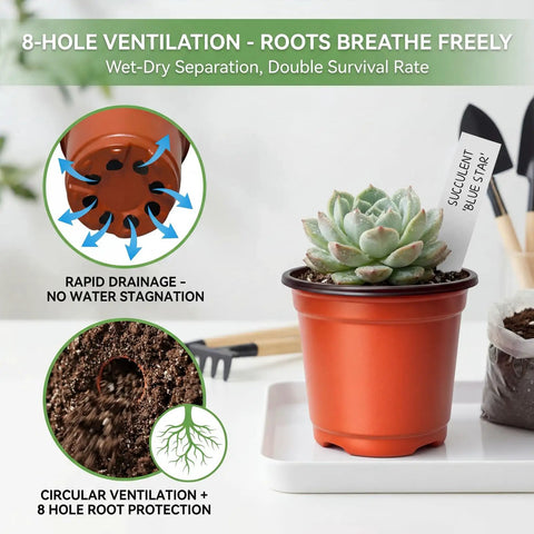 100 Pack 4 Inch Plastic Nursery Pots With Drainage Holes And 100 Plant Labels For Seed Starting Seedlings And Small Flower Plants No Brainer Starter Kit For Your Home Garden Projects, showing a red pot with succulent and label.