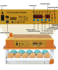 Automatic Egg Incubator For Hatching Eggs With Humidity Control And Auto Egg Turning 36 Egg Capacity displayed with eggs inside.