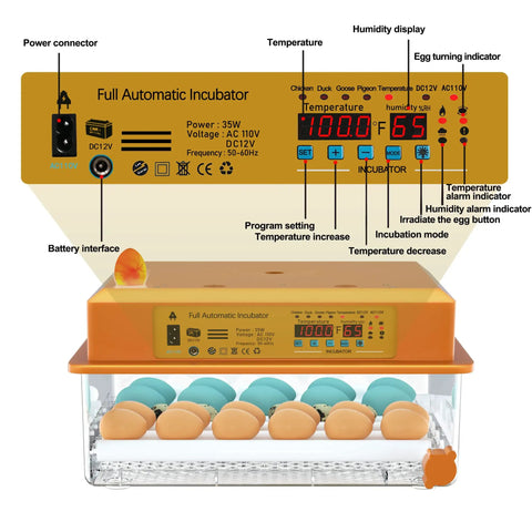 Automatic Egg Incubator For Hatching Eggs With Humidity Control And Auto Egg Turning 36 Egg Capacity displayed with eggs inside.