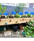 Six Pack Blue Solar Garden Mushroom Stake Lights With Eight Lighting Modes For Outdoor Yard Decor Solar Powered Waterproof Garden Ornaments in a garden bed with plants and flowers.