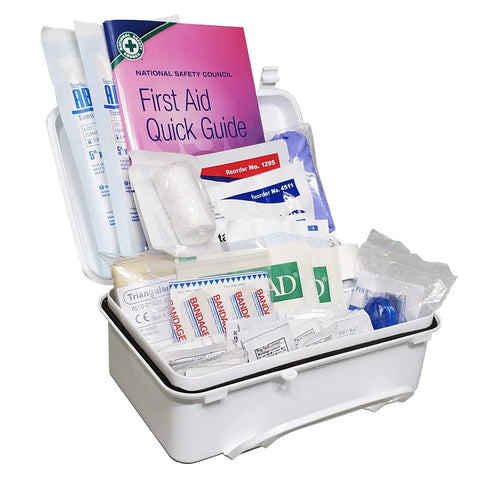 Haul Daily Roadside Kit Packed With Two Point Five Pound Abc Fire Extinguisher Plus Ten Person First Aid Set Three Warning Triangles And Extra Fuses Built Legit For Owner Operators Delivery Pros And Fleet Bosses Nationwide