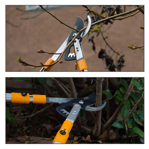 Heavy-Duty Gear-Bypass Lopper With 27 To 40 Inch Adjustable Telescoping Handles, Ratcheting Cut, Cuts Up To 1-3/4 Inches in use