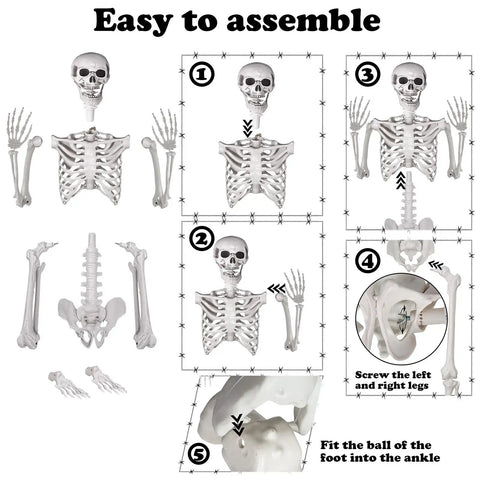 Assembly guide showing Totally Realistic Halloween Posable Skeleton With Movable Joints Life Size 165 Cm Tall Durable Plastic Bones.