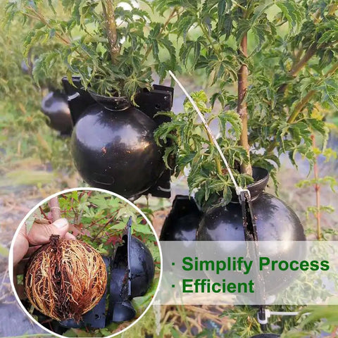 Air Layering Propagation Kit With Zip Ties And No Fuss Reusable Grafting Ball Pods For Fast Plant Rooting And Easy Install Clear Transparent Ball Grafting Boxes Medium Size For Garden And Indoor Use