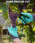 6 Inch Pruning Shears For Razor Sharp Precision Cuts With Easy Grip And High Carbon Steel Blades Nonstick Coating in use with grapes