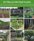Heavy-Duty Garden Trellis Netting For Climbing Plants in various garden settings, showing diverse usage in 6x15ft size