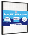 Replacement HEPA Filter for Blast Mini Air Purifier, True HEPA Filtration That Captures 99.97 Percent of Particles, Genuine Replacement