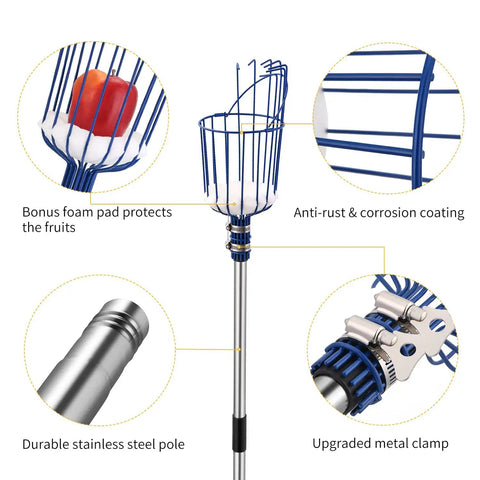 Adjustable Fruit Picker Tool with telescoping pole, foam pad, dual clamps, stainless steel, ideal for apples and oranges, no ladder needed.
