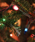 Totally Bright Multi Color Christmas Mini String Lights 20 Feet With 100 Incandescent Bulbs Waterproof on a pine tree branch