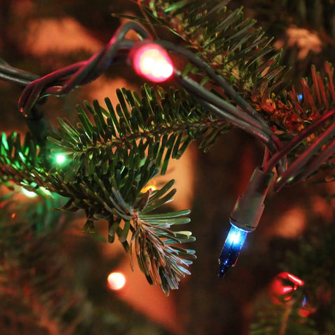 Totally Bright Multi Color Christmas Mini String Lights 20 Feet With 100 Incandescent Bulbs Waterproof on a pine tree branch