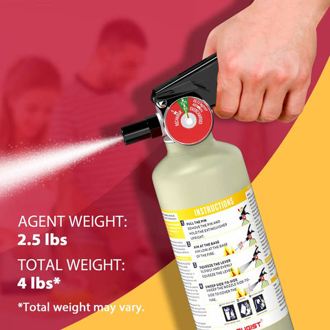 Top Rated ABC Dry Chemical Fire Extinguisher With Patented One Hand Grip Perfect For Home Garage Storage Solid No Sweat Operation Quick Grab Design Rated 1A 10BC Reliable Defense