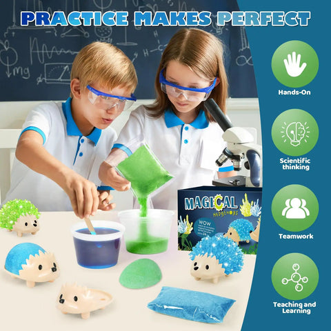 Children using Crystal Growing Kit For Kids, Two Color Hedgehog Crystals Grow In 24 Hours, STEM science experiment
