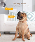 4MP Smart Pet Security Camera With Dual Band Wifi AI Motion Alerts Providing Hella Crisp Video Feed And Effortless Phone App Integration To Keep Tabs On Fur Babies And Small Toddlers Indoors with a dog in a living room.